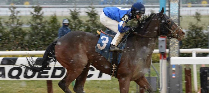 Joe Mooch runs 1st Place @ Aqueduct On 12/10/14