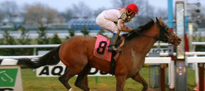 Mischievously runs 1st Place @ Aqueduct On 12/03/14