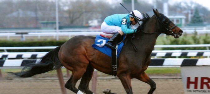 North Ocean runs 1st Place @ Aqueduct On 11/30/14