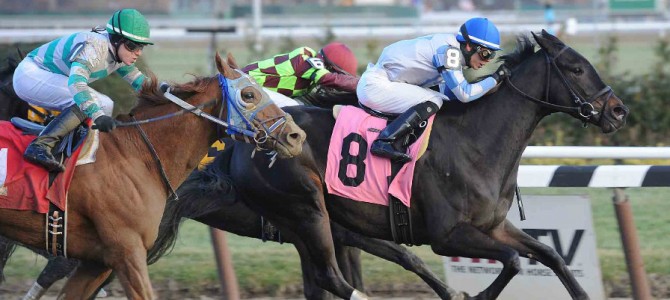 Oltre’ Oro runs 1st Place @ Aqueduct On 12/13/14