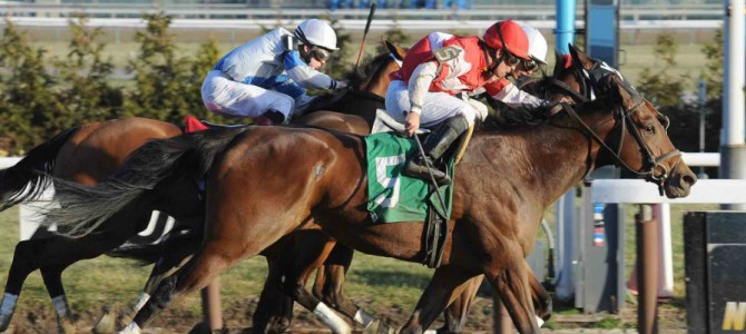 Zippity Zoom runs 1st Place @ Aqueduct On 12/27/14