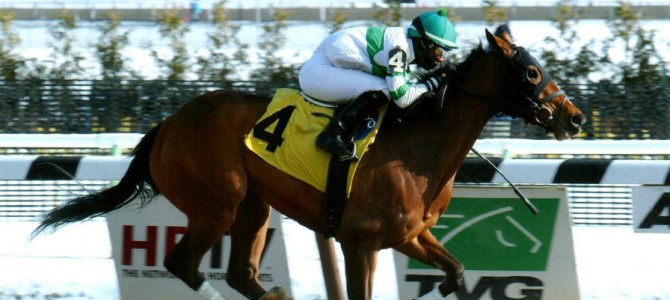 Good Shot runs 1st Place @ Aqueduct On 1/9/15