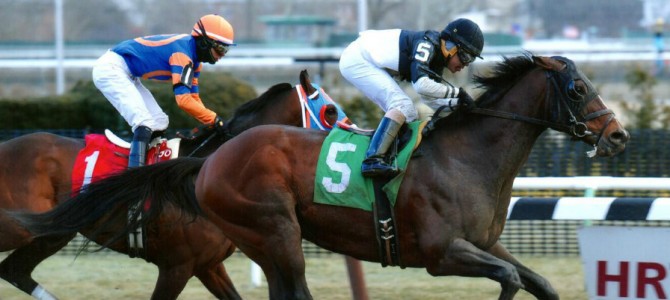 Son of a General runs 1st Place @ Aqueduct On 1/16/15