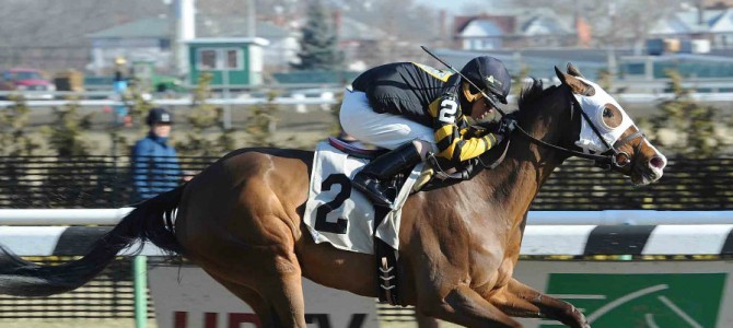 Jackie Black runs 1st Place @ Aqueduct On 1/23/15