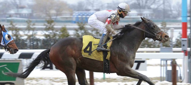 Private Thrill runs 1st Place @ Aqueduct On 2/8/15