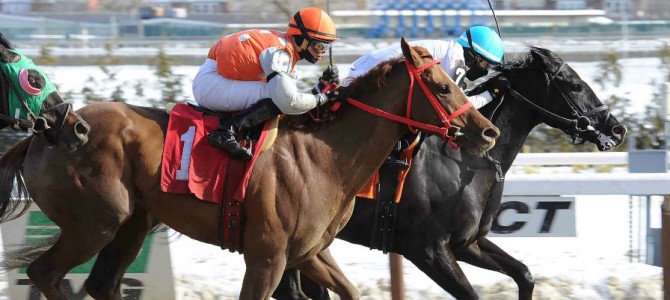 Unrepenting runs 1st Place @ Aqueduct On 2/5/15