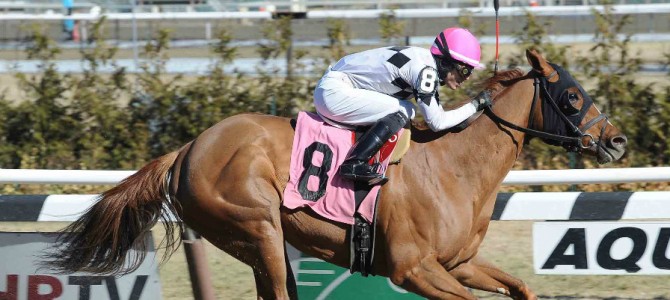 Jazzminegem runs 1st Place @ Aqueduct On 3/12/2015