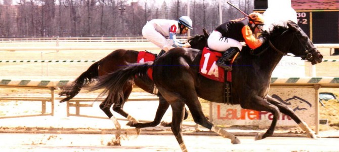 Little Love runs 1st Place @ Laurel Park On 3/15/15