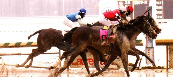 Medaglia D’Argento runs 1st Place @ Laurel Park On 3/20/2015