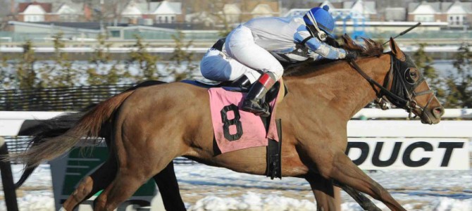 Mighty Zealous runs 1st Place @ Aqueduct On 2/27/15