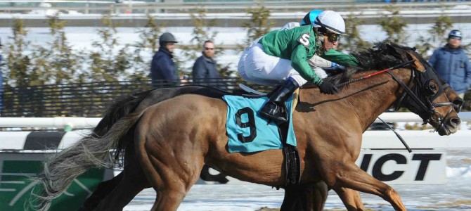 Pretension runs 1st Place @ Aqueduct On 3/8/2015