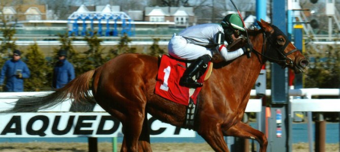 Sheriffa runs 1st Place @ Aqueduct On 3/19/2015