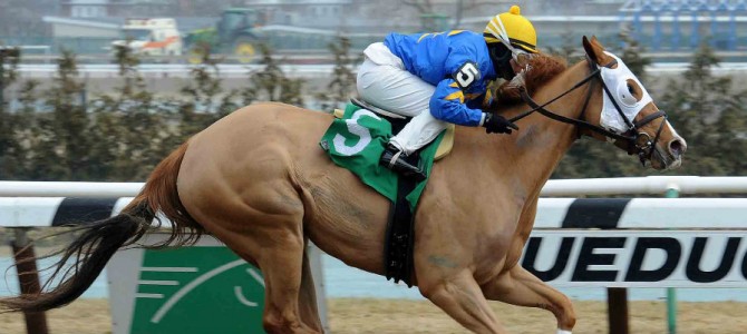 Bella The Bandit runs 1st Place @ Aqueduct On 3/26/2015