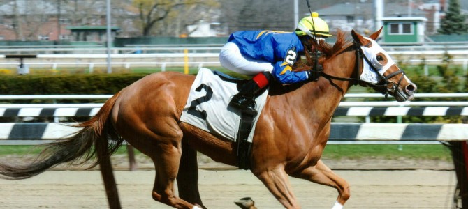 Bella The Bandit runs 1st Place @ Aqueduct On 4/16/2015