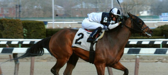 Captain Serious runs 1st Place @ Aqueduct On 4/2/2015