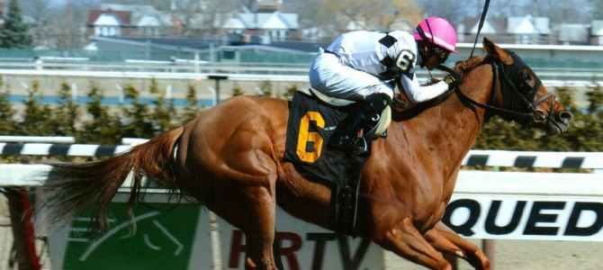 Jazzminegem runs 1st Place @ Aqueduct On 4/2/2015