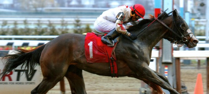 Medaglia D’Argento runs 1st Place @ Aqueduct On 4/10/2015