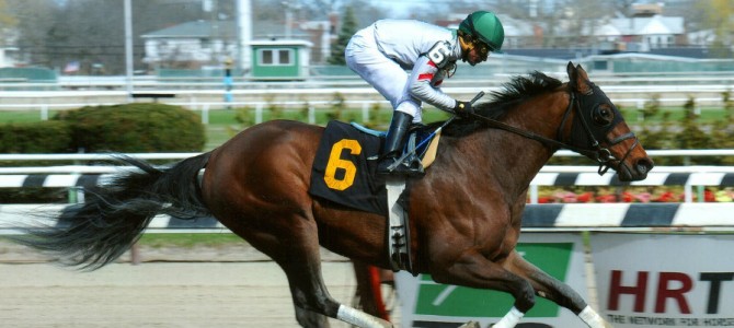 Point Hope runs 1st Place @ Aqueduct On 4/16/2015