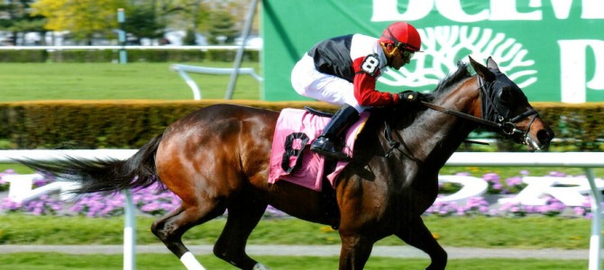 Daisy Cutter runs 1st Place @ Belmont On 5/1/2015