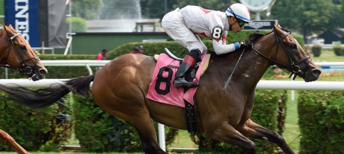 Adirondack Dancer runs 1st Place @ Belmont On 8/15/2015