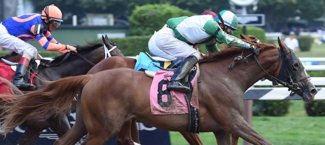 Backwood Bay runs 1st Place @ Belmont On 8/15/2015