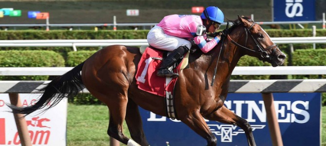 Championofthenile runs 1st Place @ Belmont On 9/4/2015