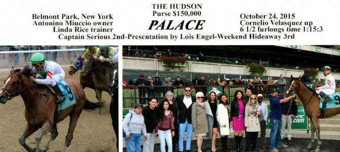 Palace runs 1st Place @ Belmont On 10/24/2015